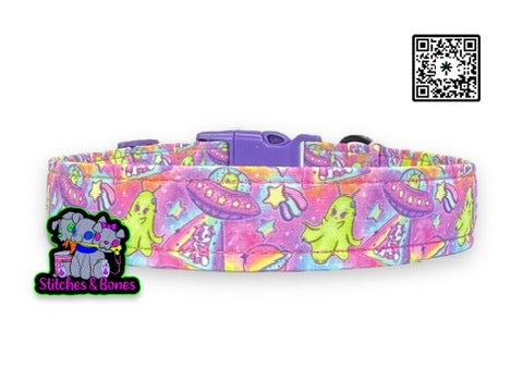 Dog Collar | 13-20" x1” | Boolien