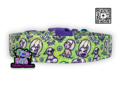 Dog Collar | 14-21" x1" | Mars Ladies (Green)